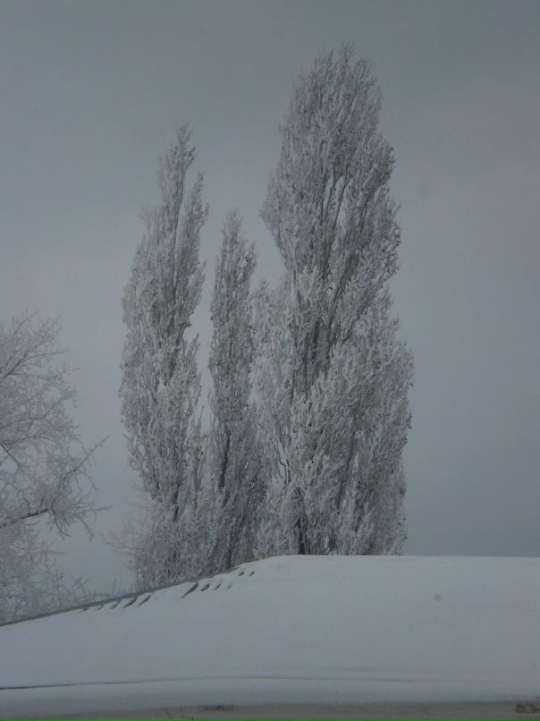 Иван Иванов фотография #22