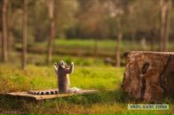 Фотография Гасандаевой Ольги