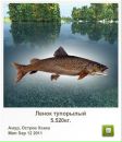 Вадім Горковенко фотография #20 (источник - https://vk.com/id132061658)
