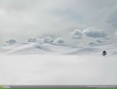 Фотография Гашимов Ринат