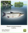 Вадім Горковенко фотография #14 (источник - https://vk.com/id132061658)