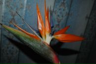 Фотография Федотовой Елены