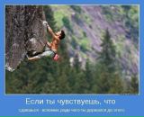 Alisa Myrgorodska фотография #43 (источник - https://vk.com/id13659415)