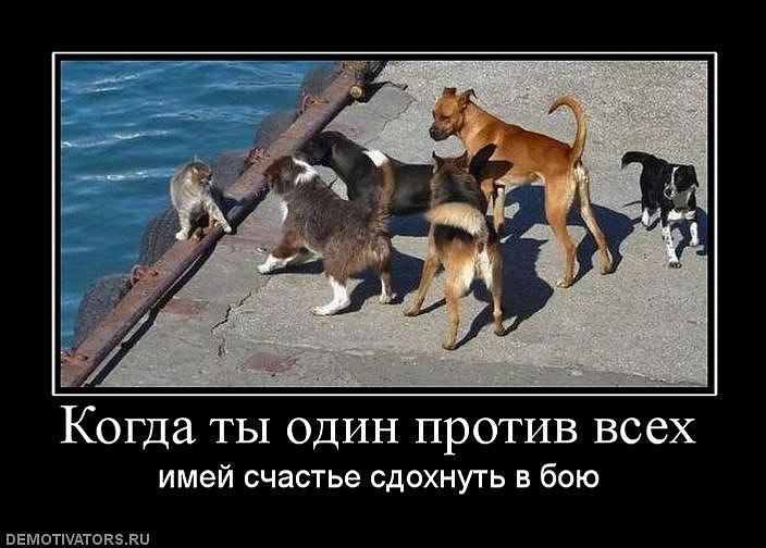 Дмитрий Ковалев фотография #12