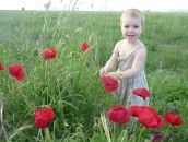 Фотография Субботиной Юлии