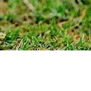 Ірина Мисюк фотография #41 (источник - https://vk.com/id105920111)