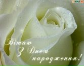 Дмитрій Багинський фотография #6 (источник - https://vk.com/id65811170)