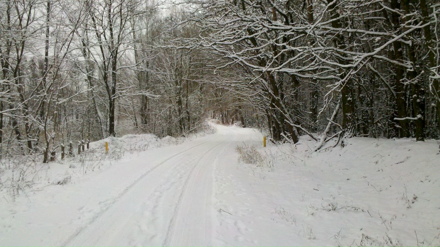 Andre Kara фотография #6