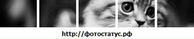 Вітя Ятчук фотография #12 (источник - https://vk.com/id127750028)