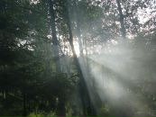Лілія Равлик фотография #48 (источник - https://vk.com/id56085304)