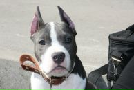 Фотография Савенковой Олеси