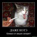 Фотография Жулина Владимира