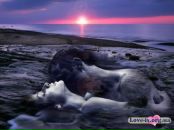 Ігор Зозуляк фотография #8 (источник - https://vk.com/id125727419)