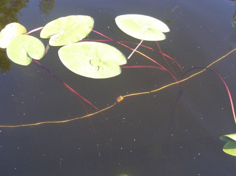 Михаил Симоненков фотография #42