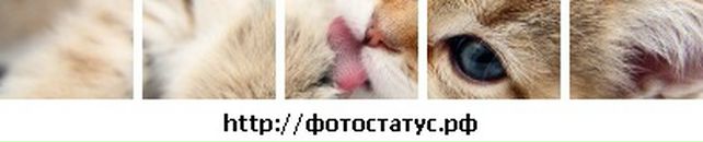 Саша Кізун фотография #8 (источник - https://vk.com/id33023355)