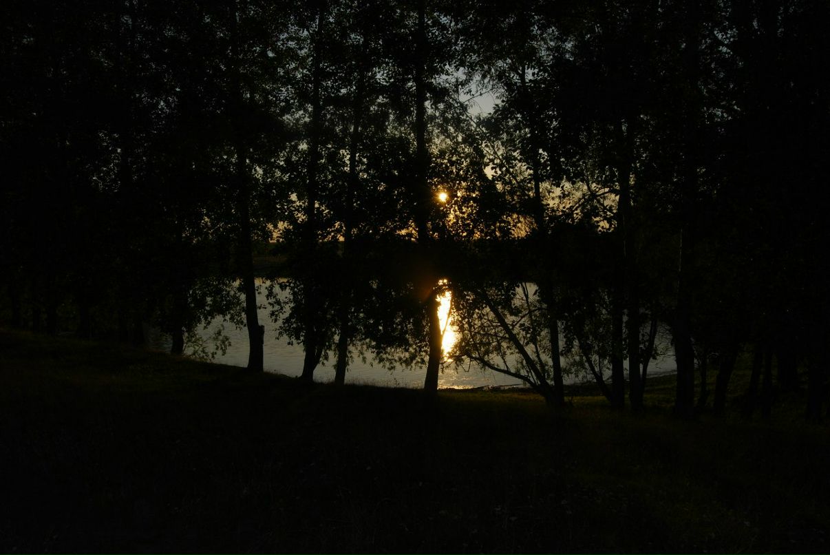 Айтек Цамакаев фотография #17