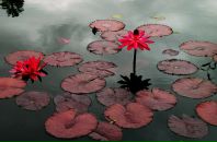 Фотография Смирновой Юлии