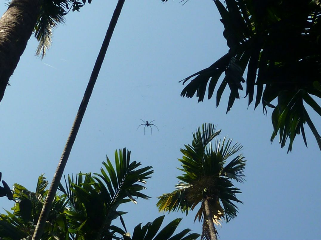 Антон Роньжин фотография #43