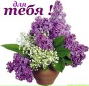 Ірина Каспрук фотография #22 (источник - https://vk.com/id159345337)