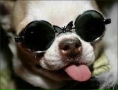 Віра Тригуба фотография #32 (источник - https://vk.com/id113231663)