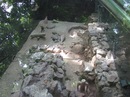 Діма Бакіка фотография #50 (источник - https://vk.com/id135406471)