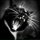 Фотография Сергеевны Татьяны