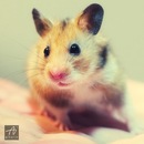 Фотография Архипова Алексея