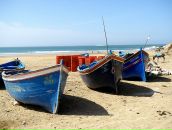 Дмитрий Фёдоров фотография #39 (источник - https://vk.com/id28347)