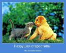 Іван Маслов фотография #21 (источник - https://vk.com/id173471475)