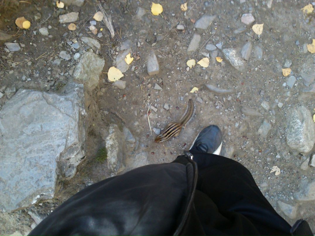 Дмитрий Неруш фотография #23