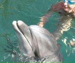 Фотография Горностаевой Ольги