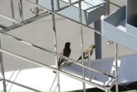 Lana Cr фотография #30 (источник - https://vk.com/id1015047)