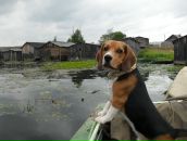 Фотография Макаренко Маришки