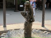 Егор Орлов фотография #46 (источник - https://vk.com/id3419501)