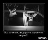 Діма Петрович фотография #39 (источник - https://vk.com/id87740300)