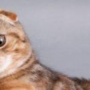 Вєталь Серйозний фотография #32 (источник - https://vk.com/id136859700)