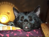 Фотография Шишковой Ольги