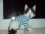 Фотография Кондрашина Михаила