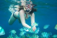 Фотография Серебряковой Светы