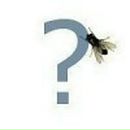 Сергій Гриджук фотография #49 (источник - https://vk.com/id34203204)