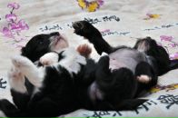 Фотография Исаевой Вероники