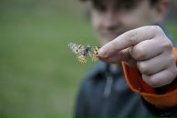 Фотография Высевкова Александра