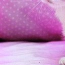 Іванка Зубенко фотография #42 (источник - https://vk.com/id100080283)