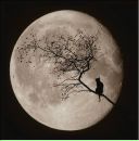 Іван Воробйов фотография #18 (источник - https://vk.com/id50503638)