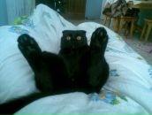 Фотография Гордеевой Любови