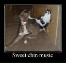 Юліан Кулиняк фотография #4 (источник - https://vk.com/id63234988)