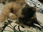 Фотография Бырсан Ирины