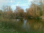 Сергій Манжура фотография #35 (источник - https://vk.com/id155292009)