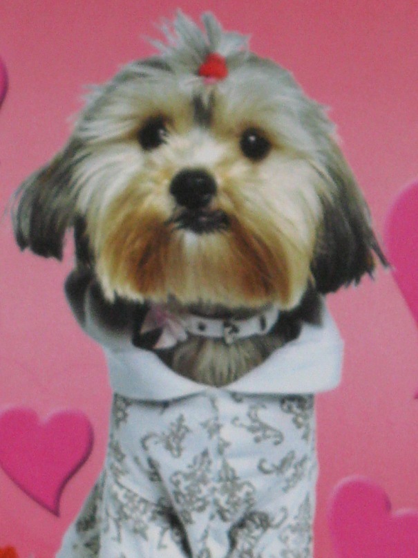 Оля Савиных фотография #31