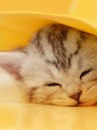 Владислав Калінчук фотография #5 (источник - https://vk.com/id163630865)